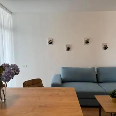 Joy Vivalia 7b-25 * Timişoara