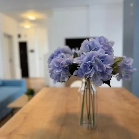 Joy Vivalia 7b-25 Apartment Timisoara