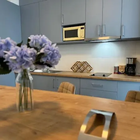 Joy Vivalia 7b-25 Timişoara