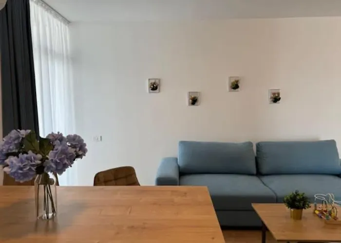 Joy Vivalia 7b-25 * تيميشورا