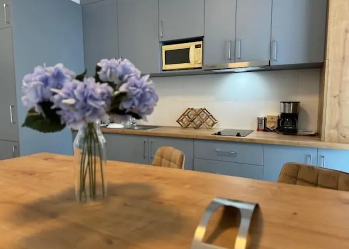 Joy Vivalia 7b-25 Timişoara