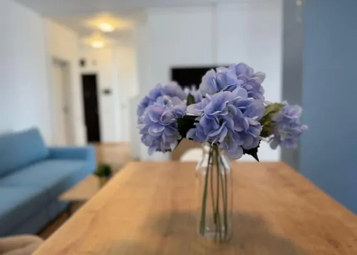 Joy Vivalia 7b-25 Appartement Timişoara