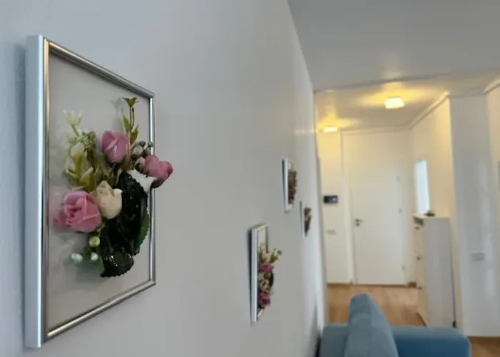 Joy Vivalia 7b-25 Timişoara